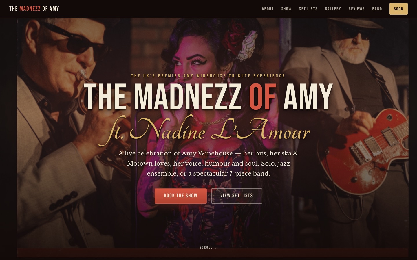 Madnezz of Amy musician website